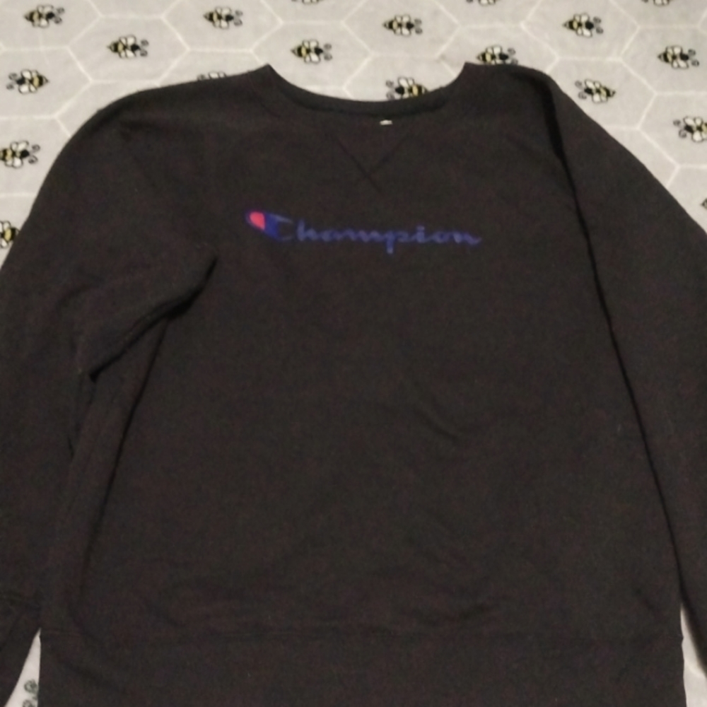 Champion Sweatshirt